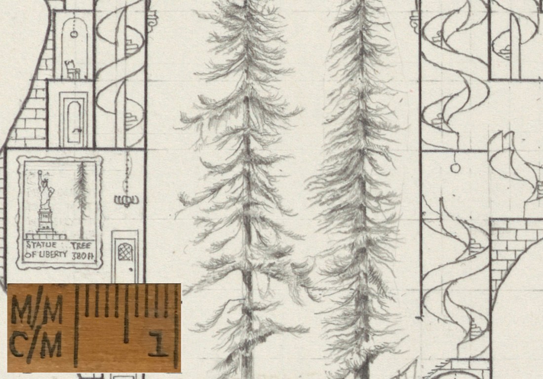 California detail (redwood trees)